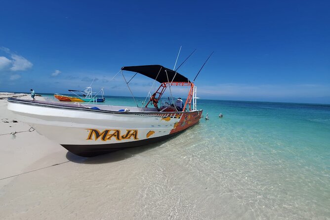 Boat Tour of Three Islands in Holbox with Transportation - Wildlife, guides, and the quality of the day