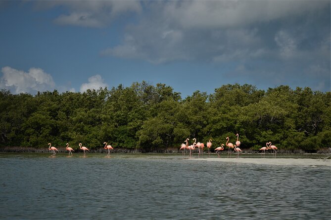 Boat Tour of Three Islands in Holbox with Transportation - What to wear and bring for the water