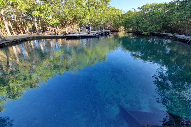 Boat Tour of Three Islands in Holbox with Transportation - Is MX$41.76 per person good value?