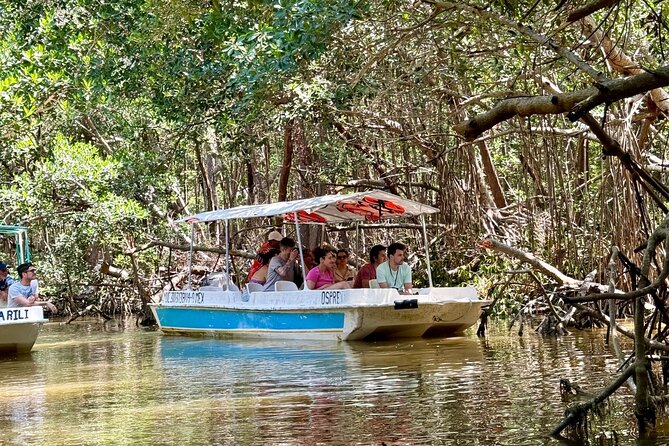 Boat tour through the mangroves of Celestún and Playa from Merida - Lunch at La Ramada de la Tía Candi