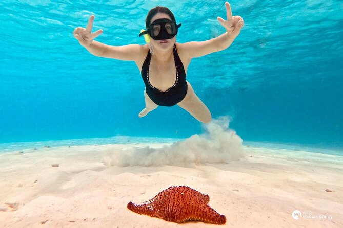 Boat Tour to Heaven in Cozumel with Ceviche - What to expect at Palancar and Columbia Reef