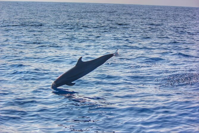 Boat Trip to See Marine Life in Puerto Escondido - Captain Alex, Omar, and the human side of the trip