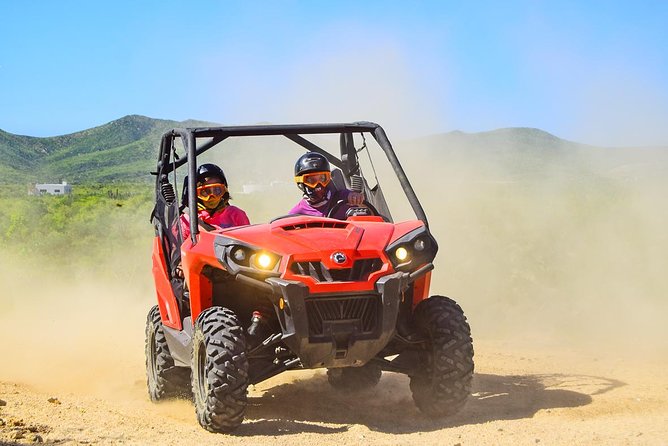 Cabo Adventure: Can-Am X3 Ride & Camel Beach Tour - Camels and the Pacific coastline