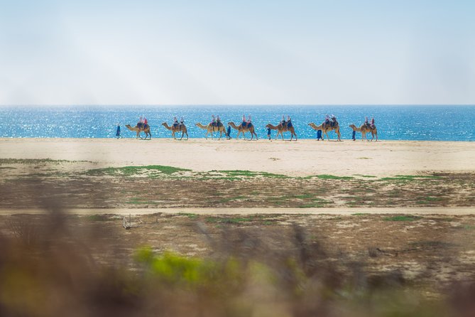 Cabo Beach Camel Ride, Mexican Buffet and Tequila Tasting - Mexican buffet with an ocean view