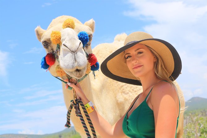 Cabo Beach Camel Ride, Mexican Buffet and Tequila Tasting - Who will enjoy this outing most