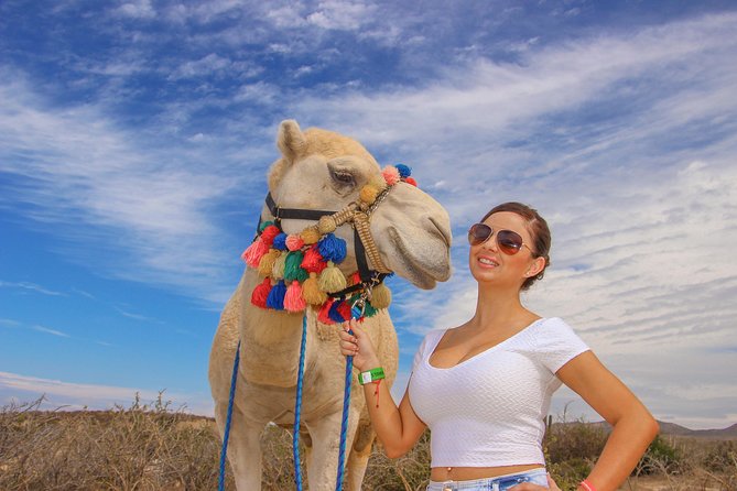 Cabo Beach Camel Ride, Mexican Buffet and Tequila Tasting - What the ride is actually like