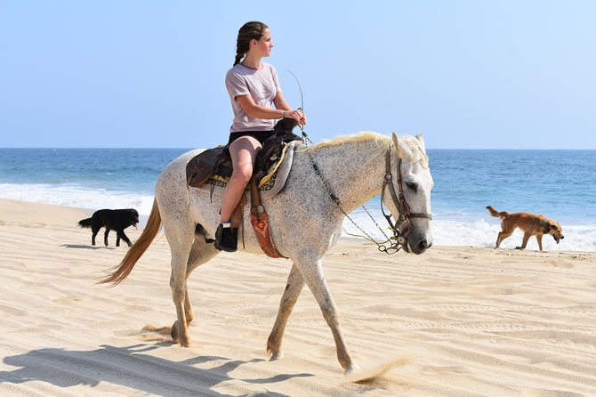 Cabo Desert Off-Road & Beach Horseback Combo and Tequila Tasting - ATV riding through desert and mountain country