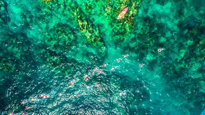 Cabo Escape Breakfast Snorkel Cruise - Is the $300 price good value?