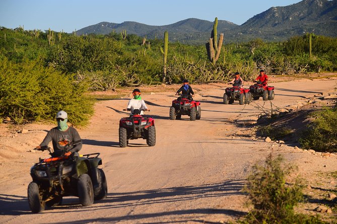 Cabo Migrino Beach and Desert ATV Tour plus Tequila Tasting - The Pacific beach run