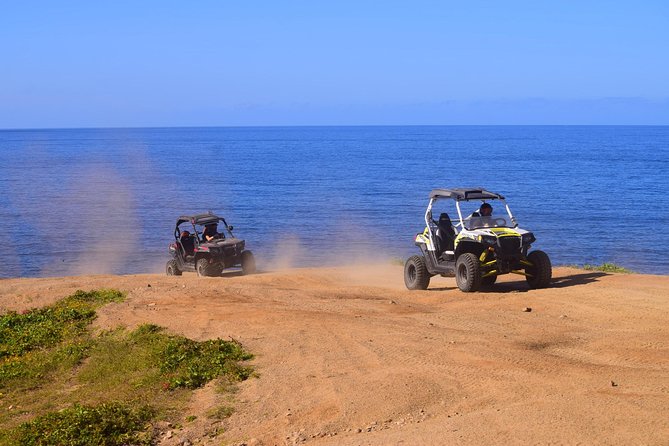 Cabo Migrino Beach & Desert Tour (Single UTV) - The UTV: simple enough for first-timers