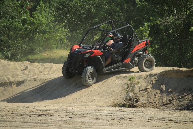 Cabo Migrino Beach & Desert UTV Tour and Tequila Tasting - Desert trails, cactus, and Baja plant life