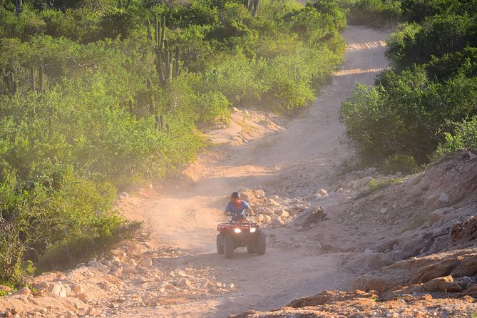Cabo Original Real Baja 1000 Tour (Single ATV) - Who will enjoy this most