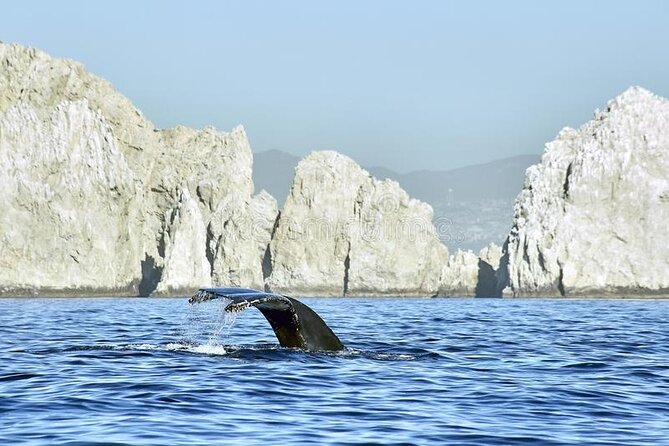 Cabo Private Transportation to Cabo - Why a private airport ride helps in Cabo