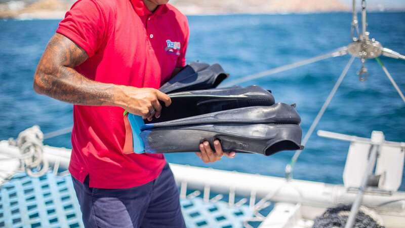 Cabo San Lucas: 4-Hour Snorkeling Cruise with Open Bar - Who will enjoy this Cabo cruise most?