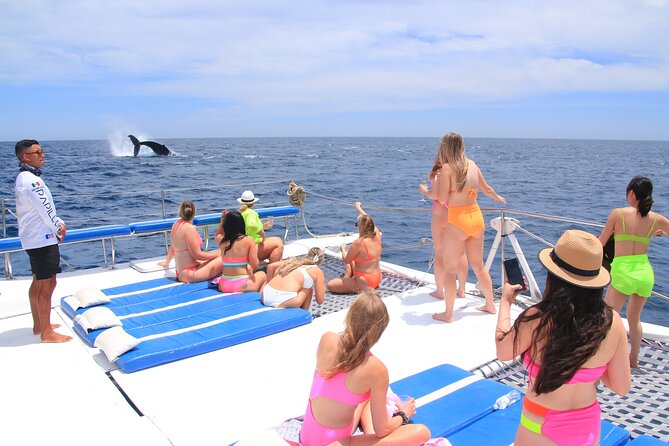 Cabo San Lucas All-Inclusive Private Catamaran Snorkeling Cruise - Whale Watching Works Best From December Through March