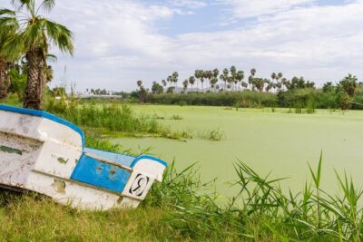 Cabo San Lucas and San Jose del Cabo Sightseeing Tour