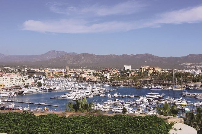 Cabo San Lucas and San Jose del Cabo Sightseeing Tour - Craft workshops add local detail, but they take time