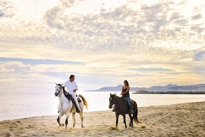 Cabo San Lucas Beach and Desert Horseback Ride - Key points before you saddle up