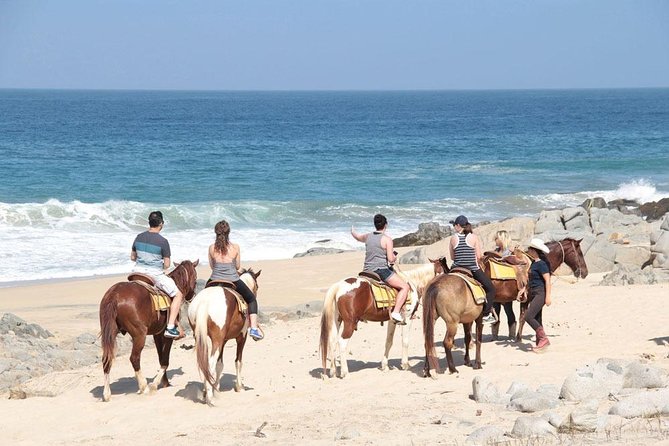 Cabo San Lucas Beach and Desert Horseback Ride - From Cabo hotels to the Migrino desert
