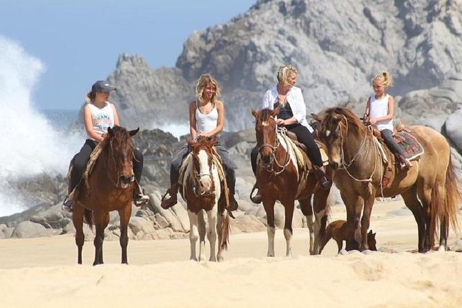 Cabo San Lucas Beach and Desert Horseback Ride - Who should book this Cabo horseback ride?