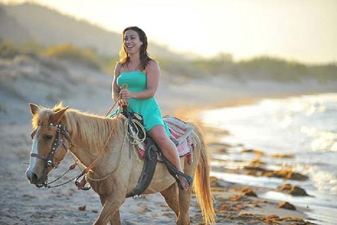 Cabo San Lucas Beach and Desert Horseback Ride - Meeting the horses and getting the basics right