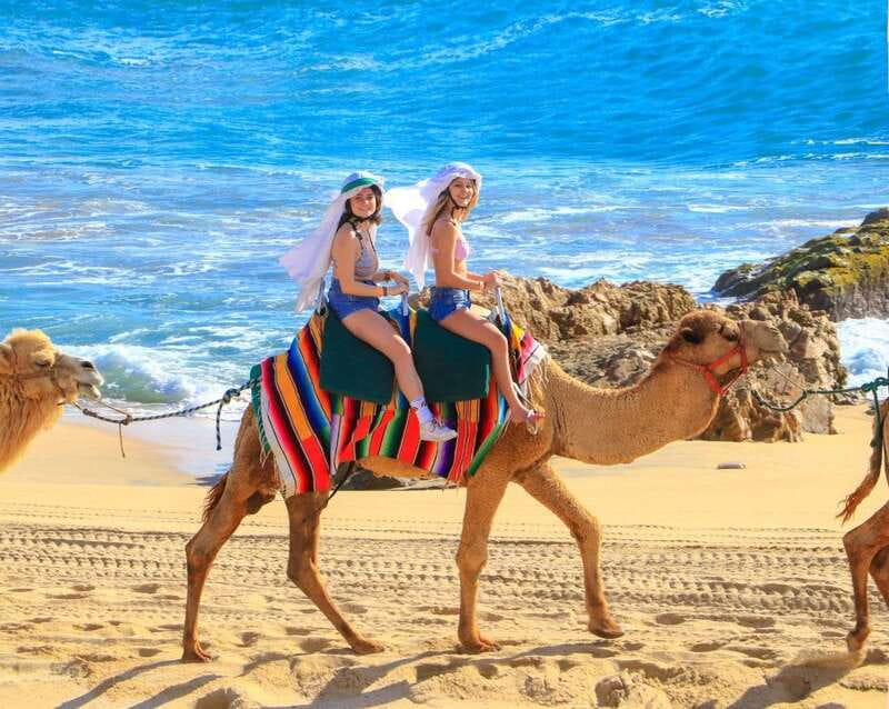 Cabo San Lucas: Camel Ride & Off-Road UTV Combo Adventure - Should you book it?