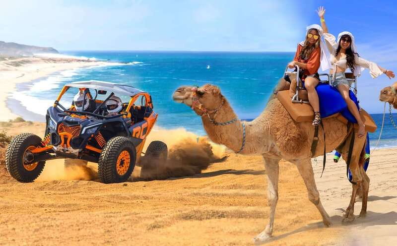 Cabo San Lucas: Camel Ride & Off-Road UTV Combo Adventure - From Cabo’s hotels to the Pacific shore