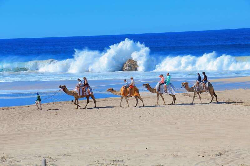 Cabo San Lucas: Camel Ride & Off-Road UTV Combo Adventure - Taking the wheel on Baja’s desert trails