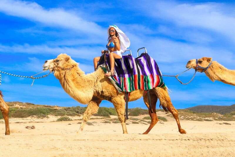 Cabo San Lucas: Camel Ride & Off-Road UTV Combo Adventure - Guides make a big difference