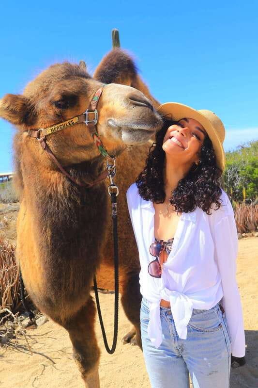 Cabo San Lucas: Camel Ride & Off-Road UTV Combo Adventure - What the $118 price really covers
