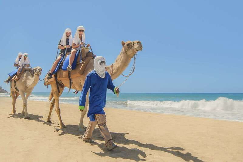 Cabo San Lucas: Camel Safari Tour with Lunch and Tequila - Starting with a desert ranch and Pacific views