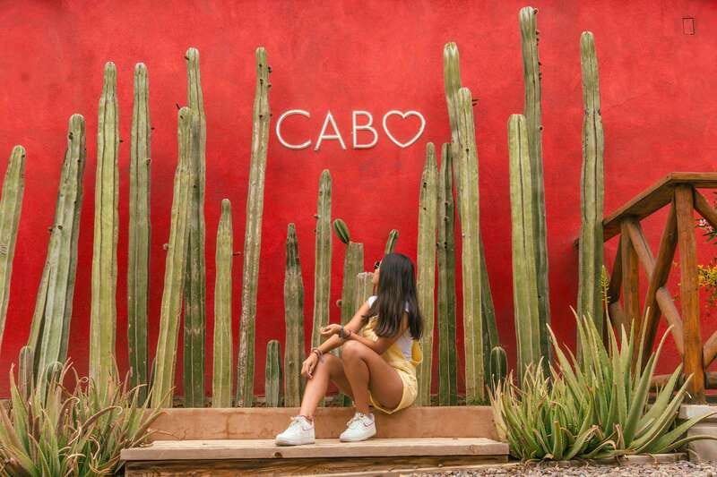 Cabo San Lucas: Camel Safari Tour with Lunch and Tequila - The 20-minute camel ride along the beach