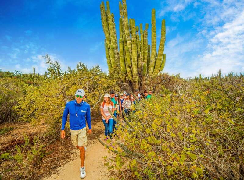 Cabo San Lucas: Camel Safari Tour with Lunch and Tequila - Practical packing advice for a smoother day