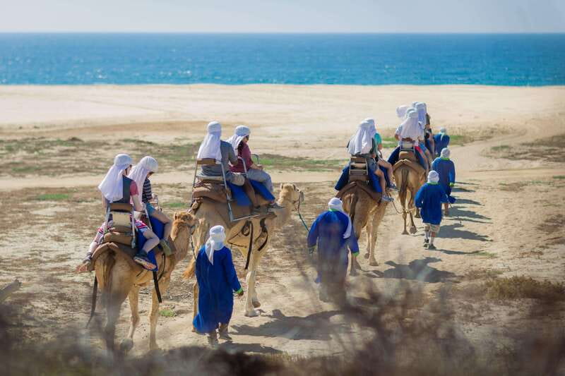 Cabo San Lucas: Camel Safari Tour with Lunch and Tequila - A short hike through Baja’s dry country