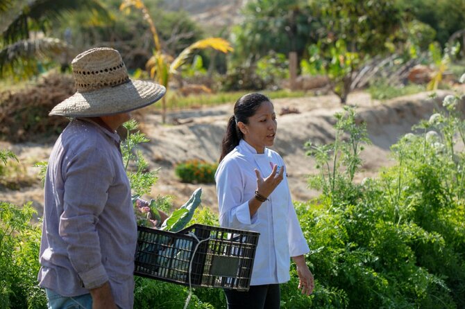 Cabo San Lucas Cooking Classes by Chef Ari - A Relaxed Meal With Margaritas