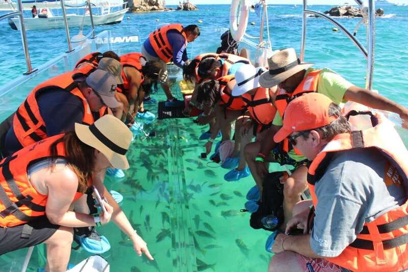 Cabo San Lucas: Glass Bottom Boat Tour to Land's End - Arriving at the Cabo marina