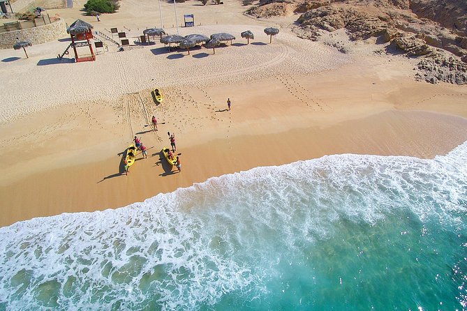 Cabo San Lucas Glass Bottom Kayak Tour and Snorkel at Two Bays - Why this tour works better than a standard boat trip