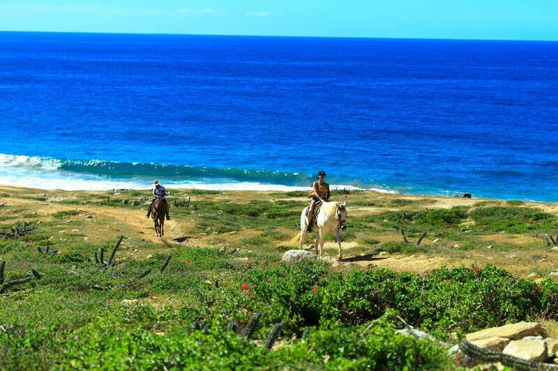 Cabo San Lucas: Horseback Riding in Migriño with Transfers - Key details at a glance