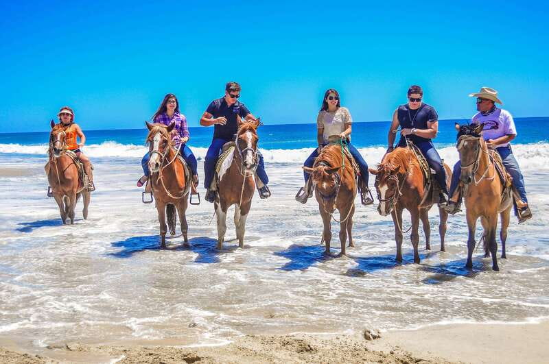 Cabo San Lucas: Horseback Riding in Migriño with Transfers - Reaching the Pacific beach