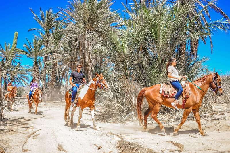 Cabo San Lucas: Horseback Riding in Migriño with Transfers - Is the $87 price fair?