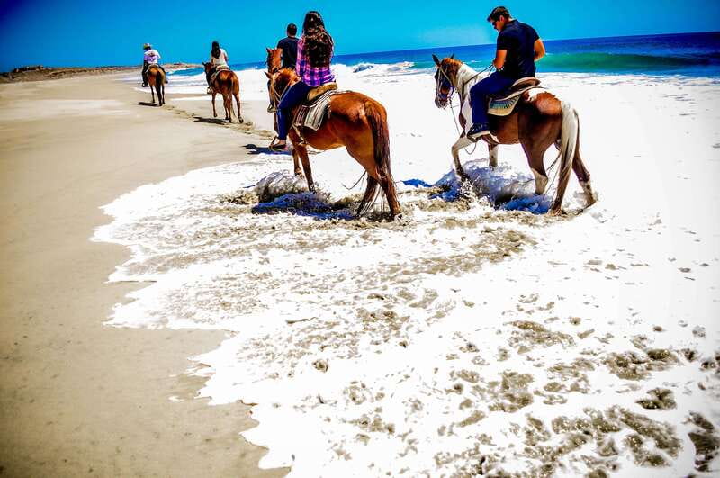 Cabo San Lucas: Horseback Riding in Migriño with Transfers - Meeting the horses and getting ready