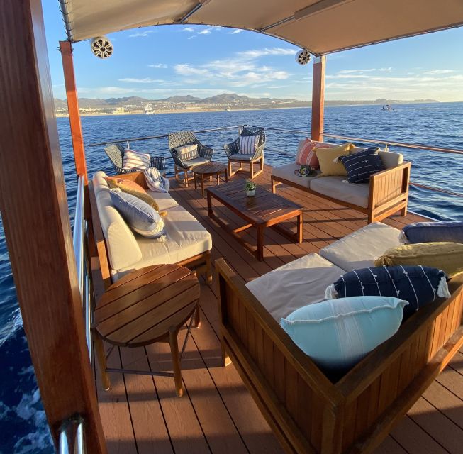 Cabo San Lucas: Private Catamaran Cruise - Meeting at Marina Door G