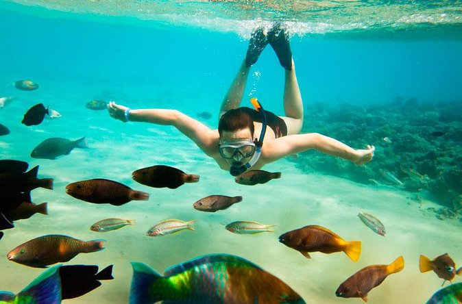 Cabo San Lucas Shopping, Tequila Tasting, and Snorkel Tour - Shared pickup and the real timing