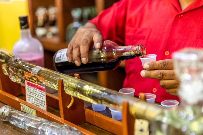Cabo San Lucas Shopping, Tequila Tasting, and Snorkel Tour - Who should book this Cabo outing