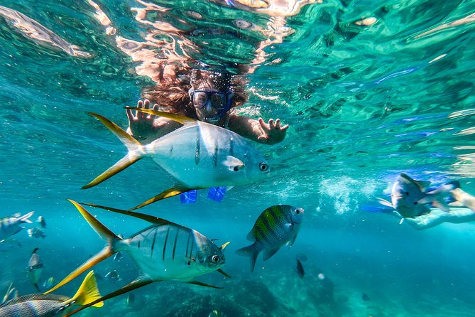 Cabo San Lucas Shopping, Tequila Tasting, and Snorkel Tour - Tequila tasting at Hacienda Tequila