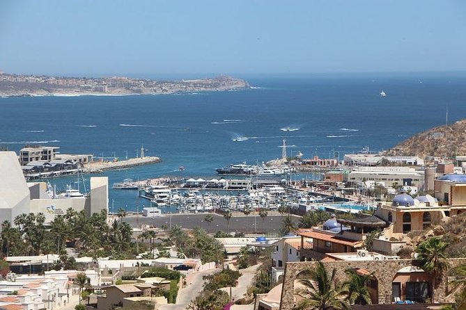 Cabo San Lucas sightseeing and Famous Arch tour - The Arch, sea lions, and Cabo’s southern tip
