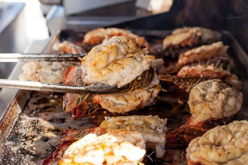 Cabo San Lucas: Sunset Dinner Cruise - Comfort, Weather, and Motion