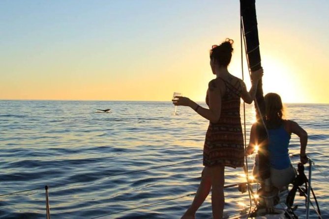 Cabo San Lucas Sunset Sailing Shared Cruise - Sunset, music, and the return after dark