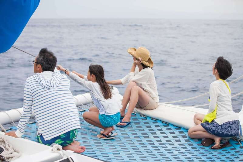 Cabo San Lucas: Whale Watching Catamaran Experience - Should you book it?