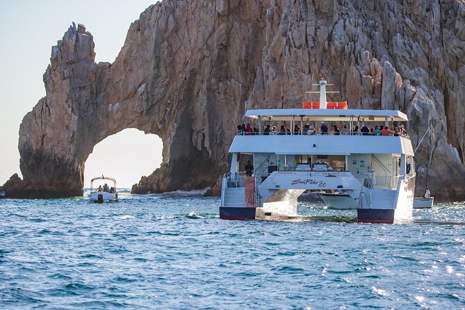 Cabo San Lucas Whale Watching Lunch Cruise - Searching for gray and humpback whales
